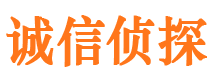 雅江找人公司